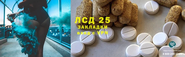 прущие грибы Баксан