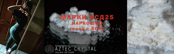прущие грибы Баксан