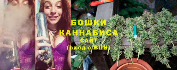 прущие грибы Баксан