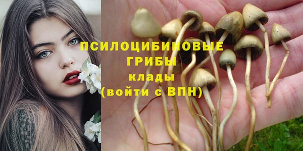 бошки Балахна