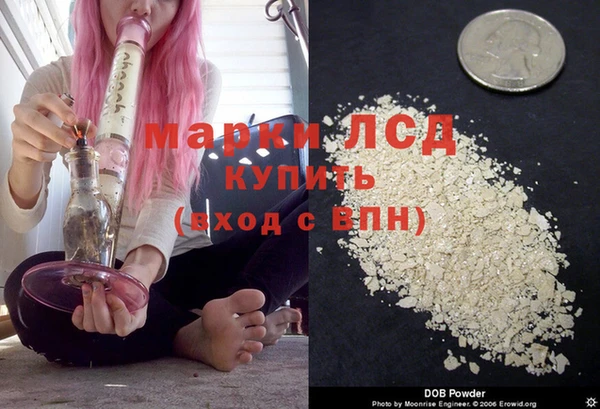 прущие грибы Баксан