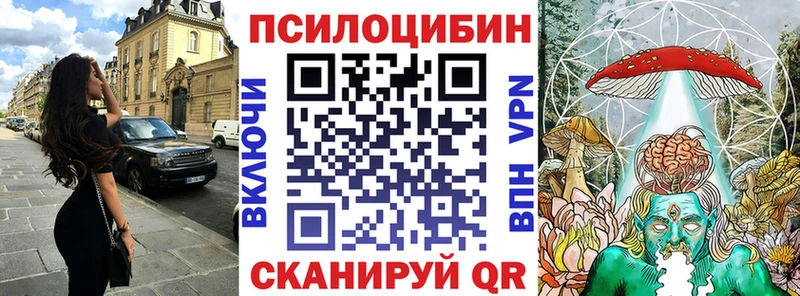 как найти наркотики  Сланцы  Псилоцибиновые грибы прущие грибы 